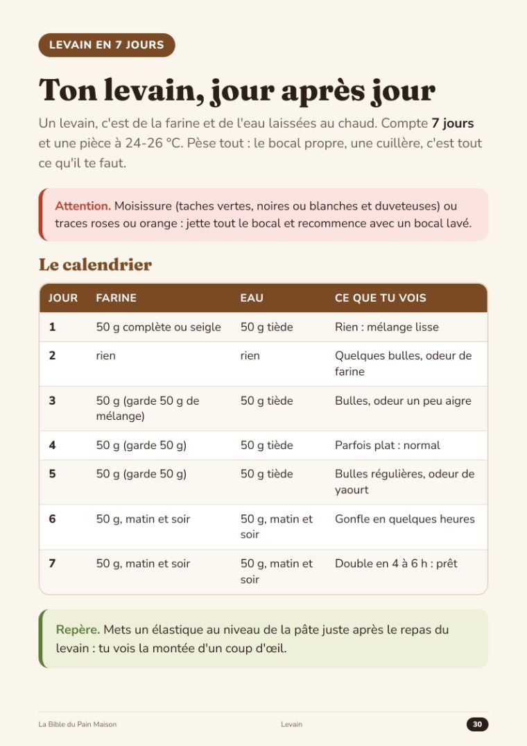 Page du calendrier du levain en 7 jours